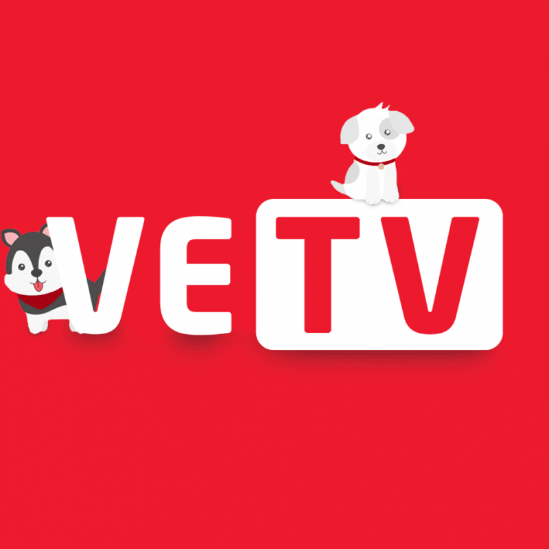 Thông tin chi tiết về viet esport tv mà người chơi cần biết